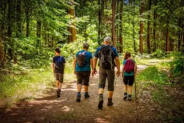 Eine Familie wandert auf einem Waldweg. Die Sonne scheint durch die Bäume und schafft eine angenehme Atmosphäre.