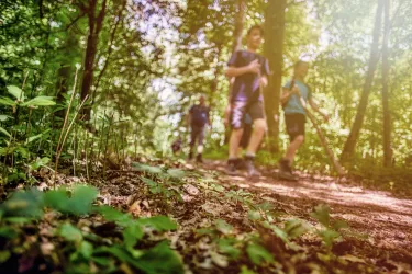Eine Gruppe von Wanderern geht auf einem Pfad durch einen Wald. Das Licht strahlt sanft durch die Bäume.