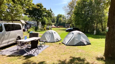 Camping Resort Rülzheim Stellplätze + Zeltwiese (© Südpfalz-Tourismus Landkreis Germersheim e.V.)