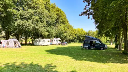 Camping Resort Rülzheim Stellplätze Large (© Südpfalz-Tourismus Landkreis Germersheim e.V.)