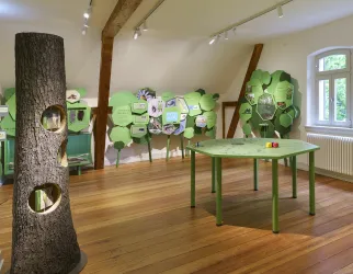 Ein Bildungsraum mit einer Holzwand und einem grünen Tisch. Im Hintergrund sind informative Tafeln über die Natur zu sehen.