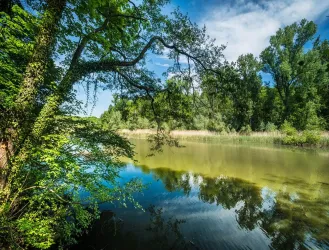 Hördter Rheinaue (1) (© Südpfalz-Tourismus Verbandsgemeinde Rülzheim e.V.)