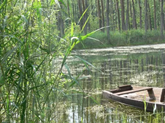 Fischteich Hördter Rheinauen