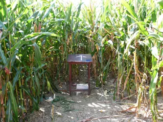 Stempelstelle im Maislabyrinth
