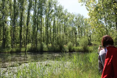 Altrhein Hördter Rheinaue - Wanderin macht Pause