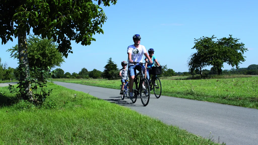 Radfahrende Familie auf dem Radweg