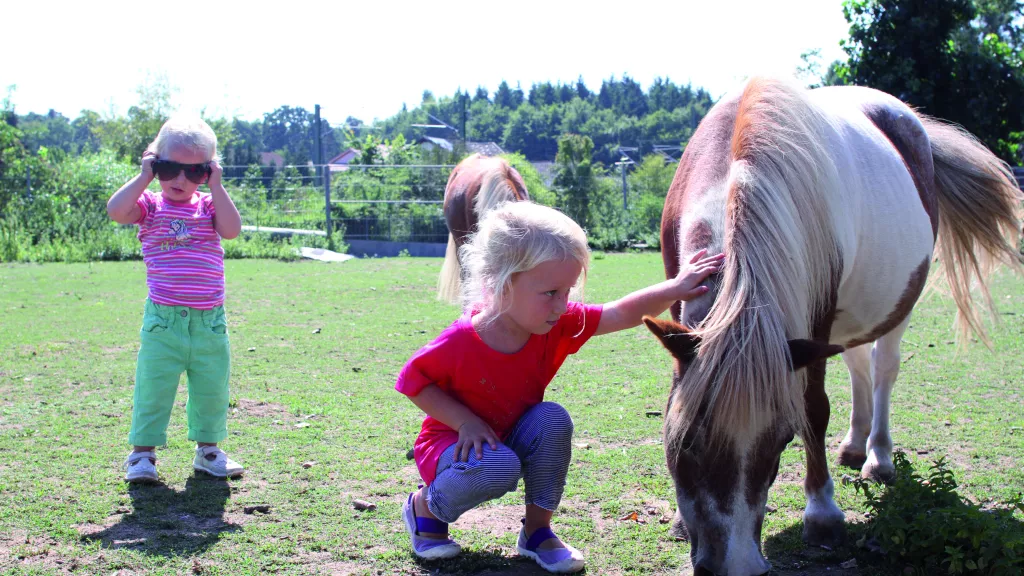 Zwei Kinder streicheln ein Pony