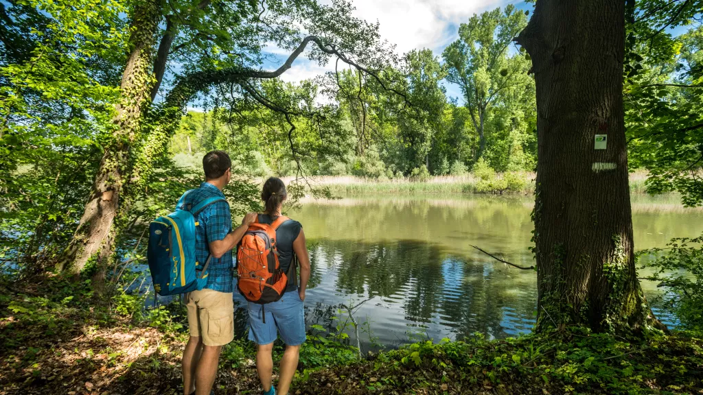 Zwei Wanderer genießen die Aussicht auf den Altrhein in der Hördter Rheinaue