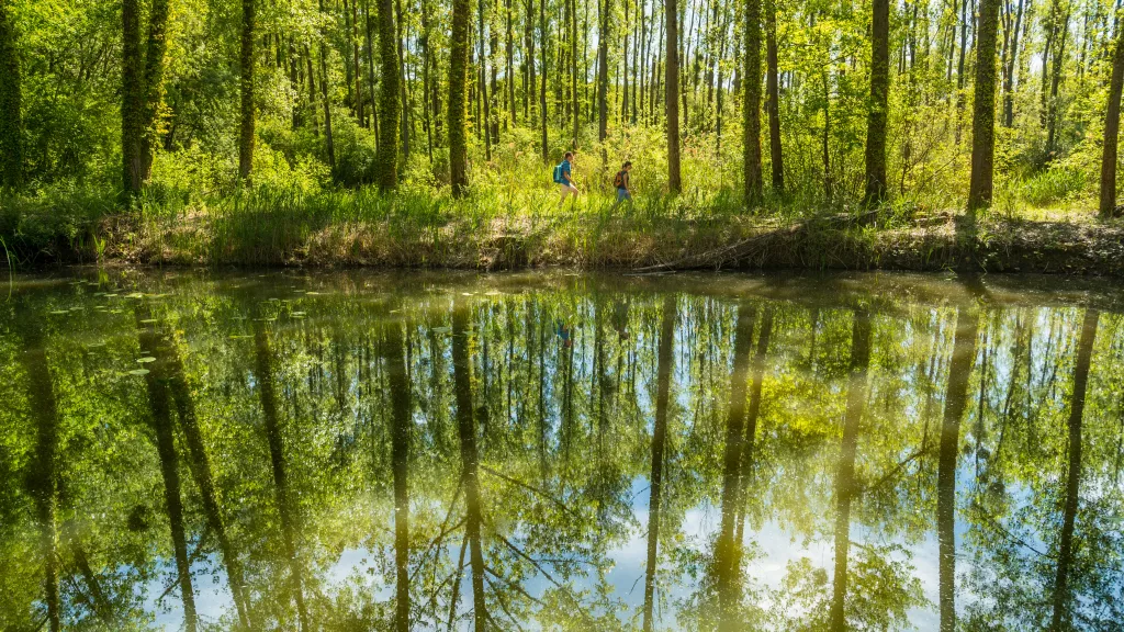 Wander am Treidlerweg