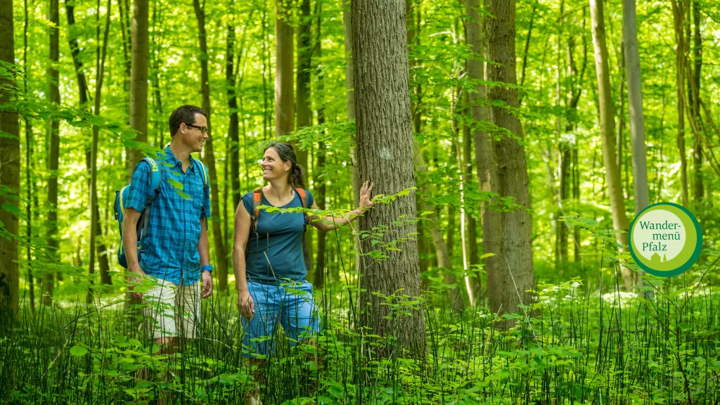 Wanderer Hördter Rheinauen