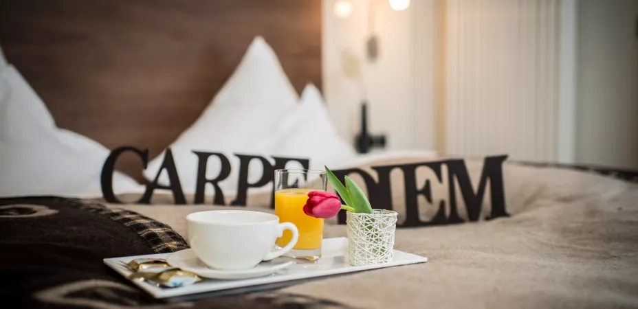Hotel APART (© Südpfalz-Tourismus Verbandsgemeinde Rülzheim e.V., Hotel APART) Hotelzimmer innen - Hotel APART