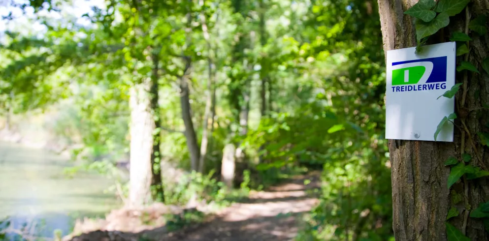 Treidlerweg Hördter Rheinaue