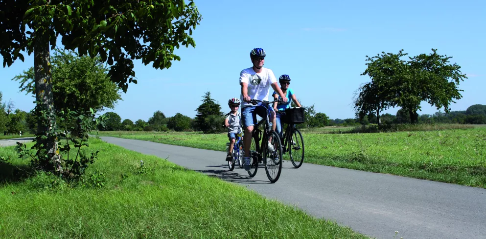 Radfahrende Familie auf dem Radweg