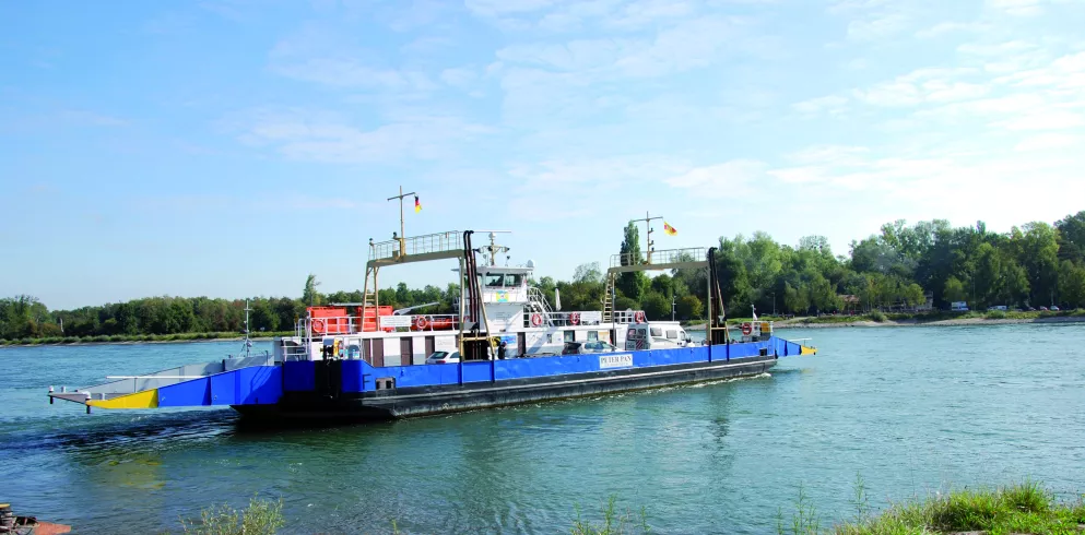 Rheinfähre Peter Pan