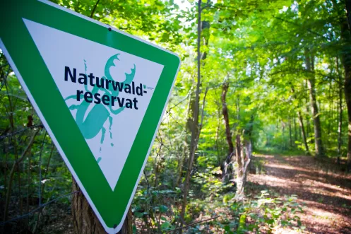 Schild Naturschutzgebiet Hördter Rheinaue