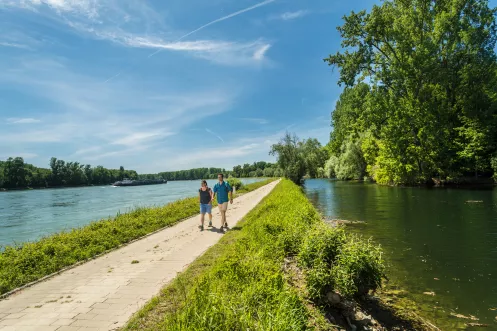 Treidlerweg entlang des Rheins