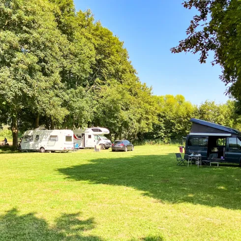 Camping Resort Rülzheim Stellplätze Large (© Südpfalz-Tourismus Landkreis Germersheim e.V.)