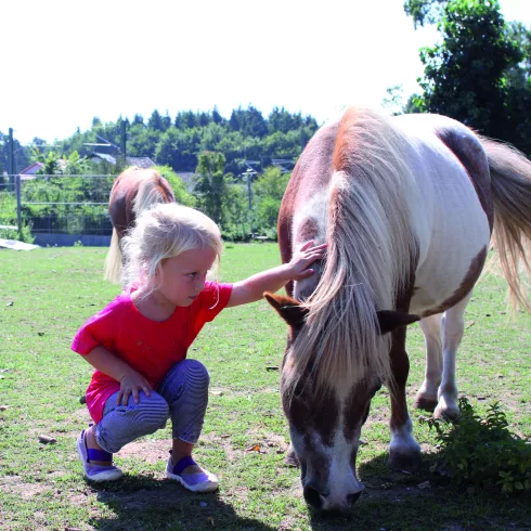 Zwei Kinder streicheln ein Pony