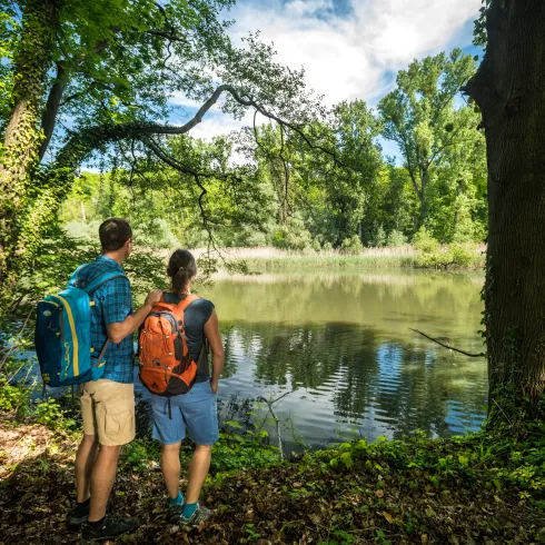 Zwei Wanderer genießen die Aussicht auf den Altrhein in der Hördter Rheinaue